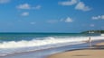 A beach with waves, a clear sky, and palm trees in the distance.