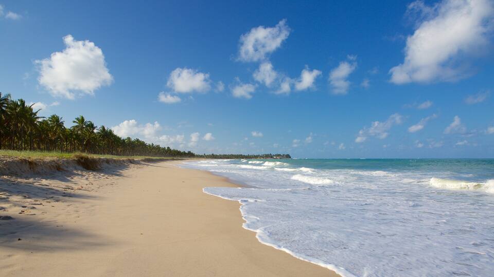 Maracaipe Beach which includes general coastal views, a sandy beach and tropical scenes