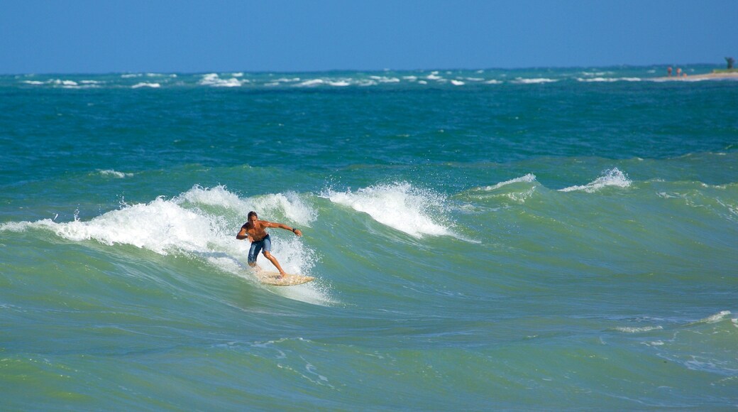 Maracaipe Beach featuring general coastal views, surfing and surf