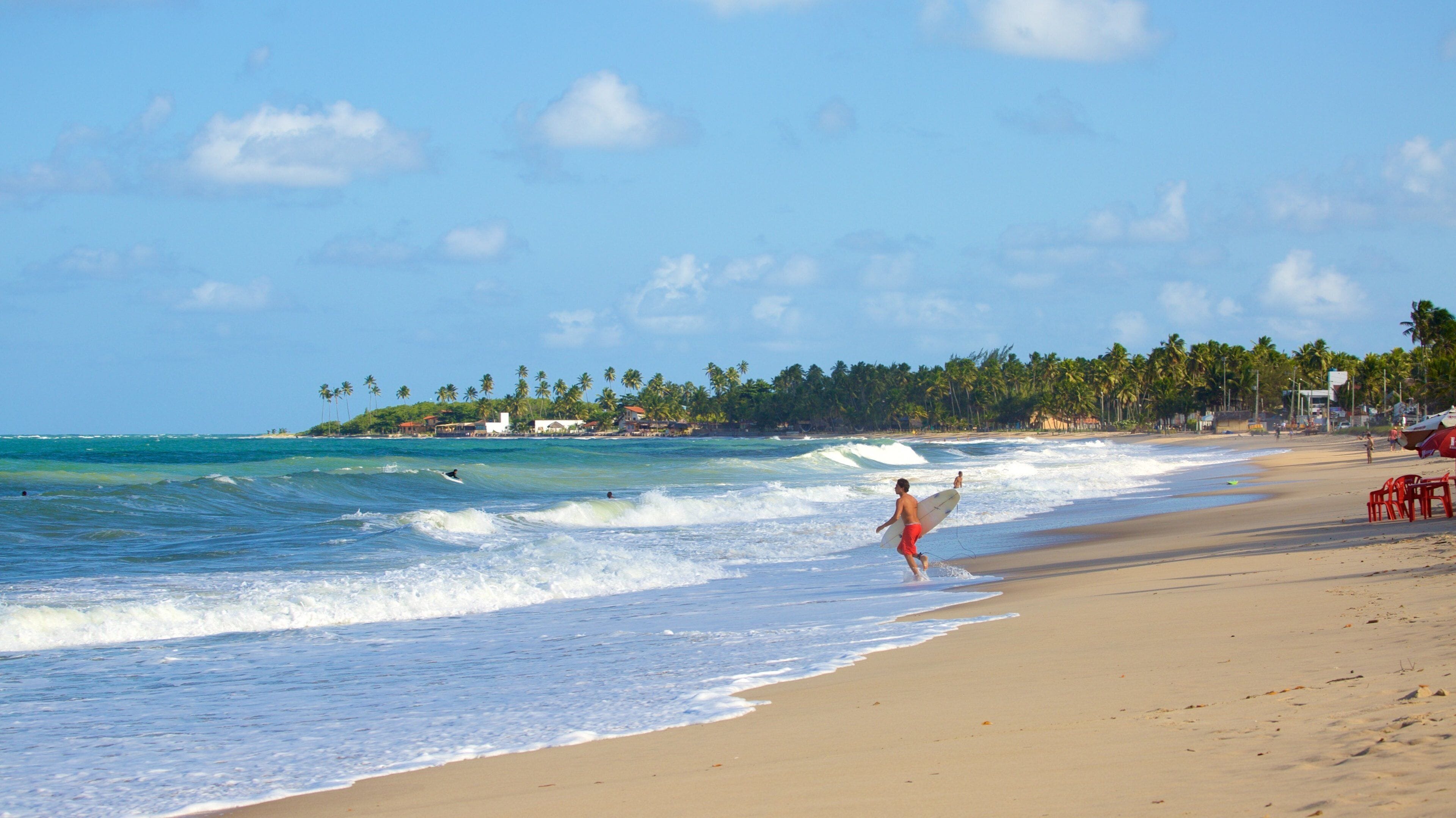 A beach with waves, a surfer, and palm trees.