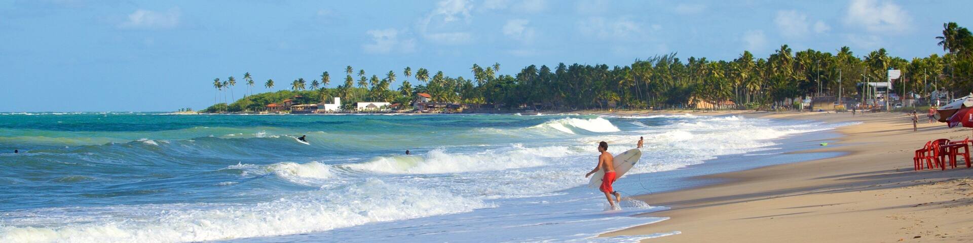A beach with waves, a surfer, and palm trees.