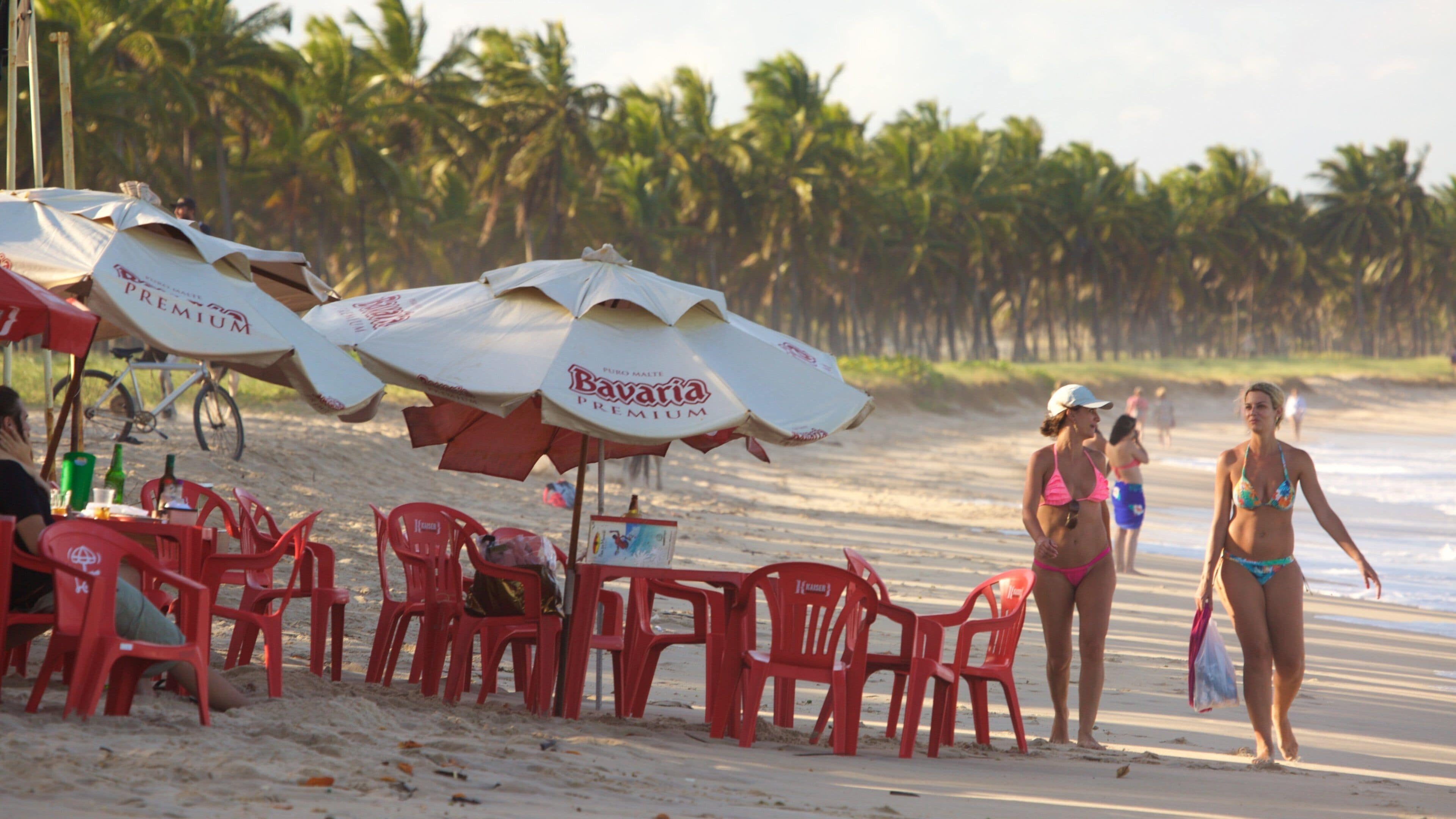 Maracaipe Beach showing tropical scenes, a beach and outdoor eating