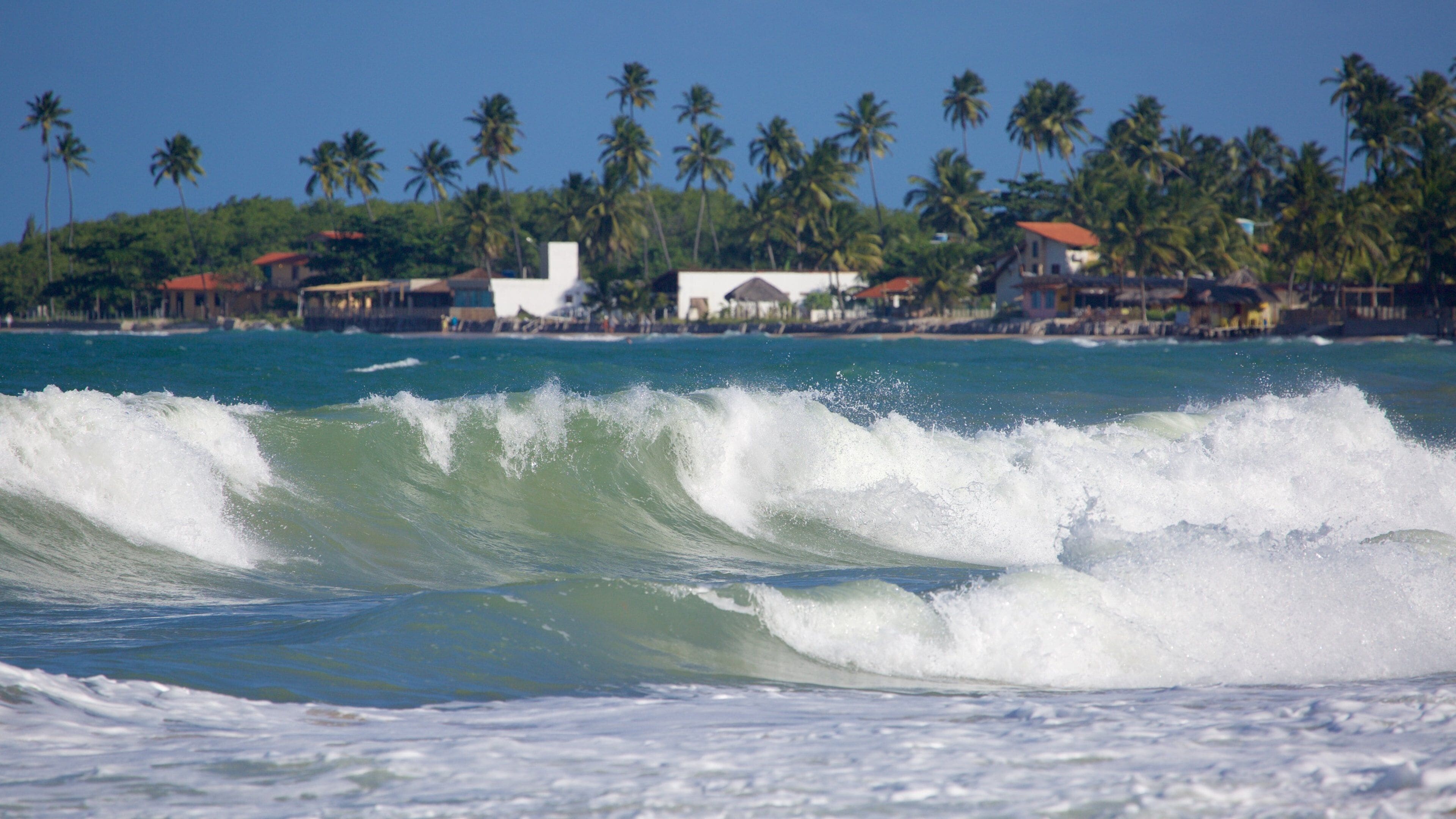 Maracaipe Beach featuring tropical scenes, general coastal views and surf