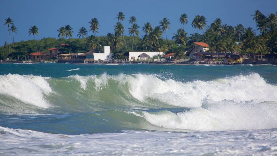 Maracaipe Beach featuring tropical scenes, general coastal views and surf