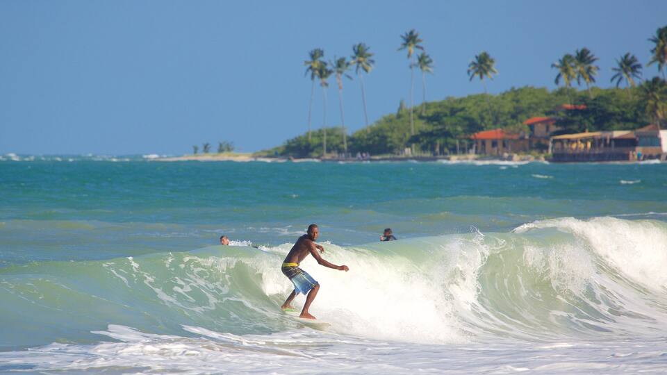 Un surfeur surfe sur une vague, avec des palmiers et une plage en arrière-plan.