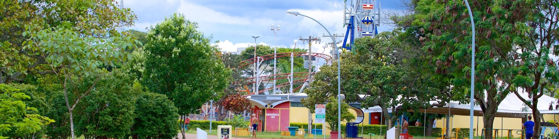 City Park showing rides and a park