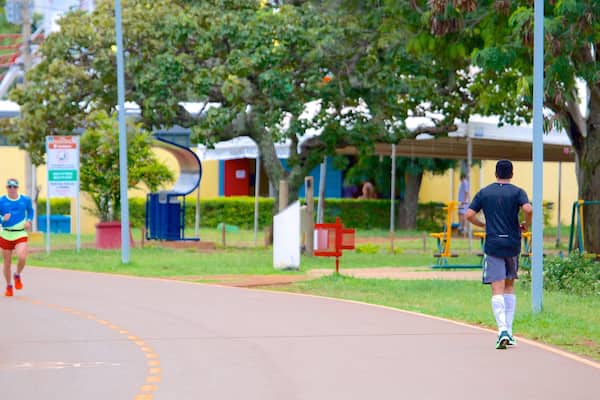 Parque da Cidade welches beinhaltet Park