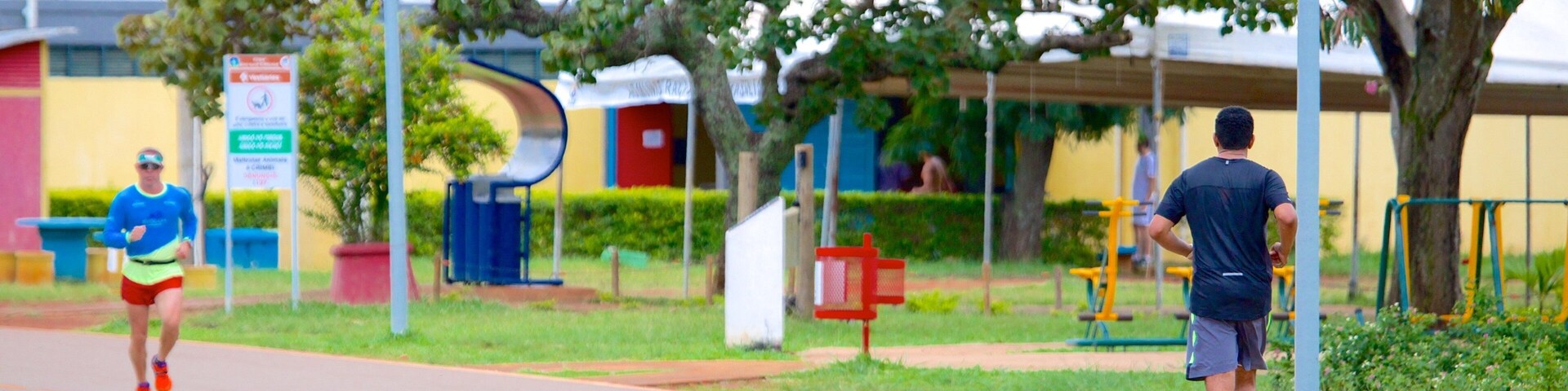 City Park showing a garden