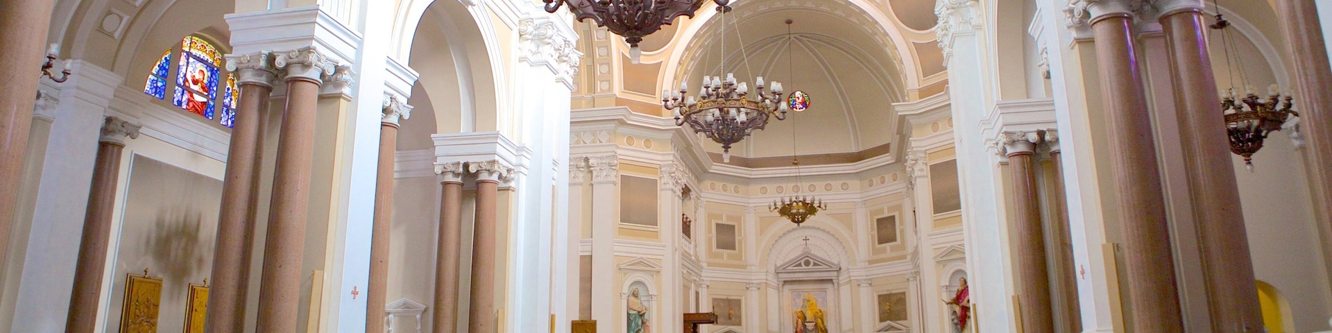 Catedral Metropolitana que inclui aspectos religiosos, uma igreja ou catedral e vistas internas