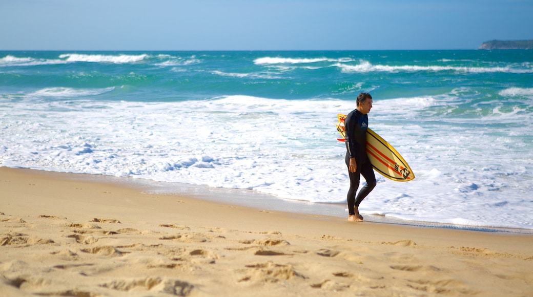 Mole Beach featuring surfing and a beach as well as an individual male