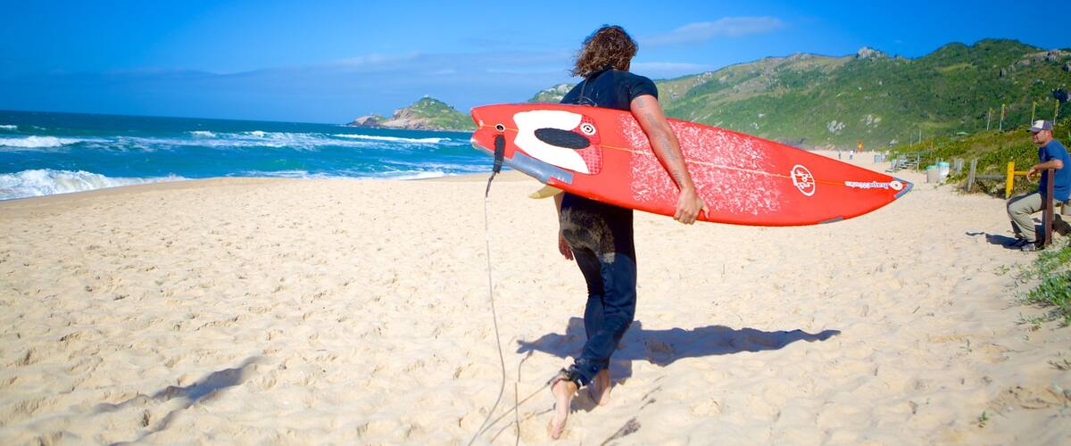 ๋ชฐ๋ ๋น์น ์ ๋ณด์ฌ์ฃผ๋ ๋ชจ๋ ํด๋ณ ๊ณผ ์ํ ๋ฟ๋ง ์๋๋ผ ๋จ์