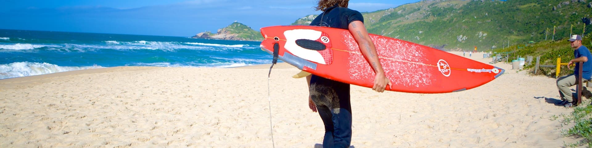 Mole Beach showing surfing and a beach as well as an individual male