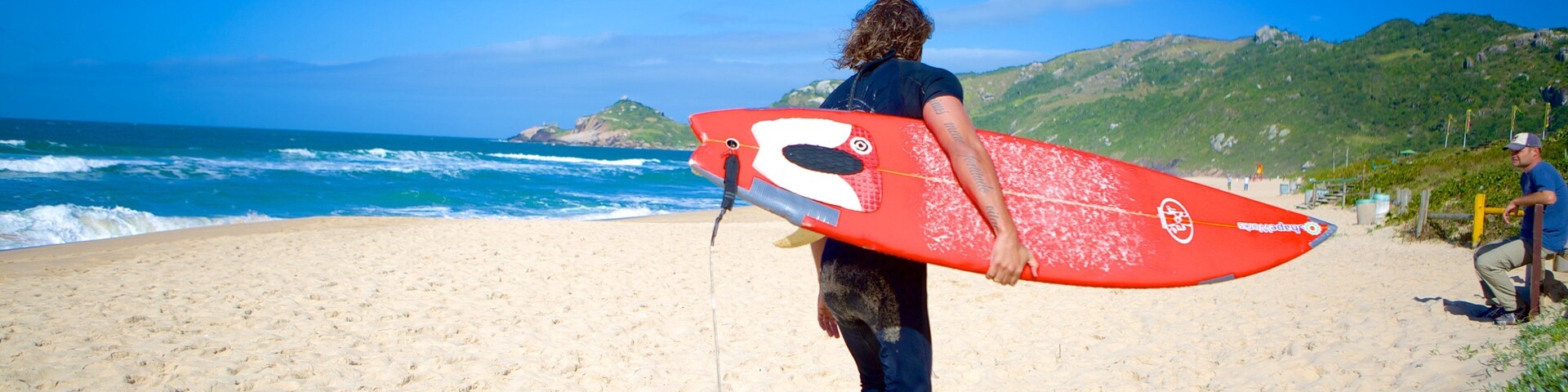 Mole Beach showing surfing and a beach as well as an individual male