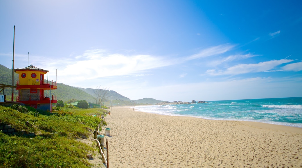 Mole Beach which includes a beach