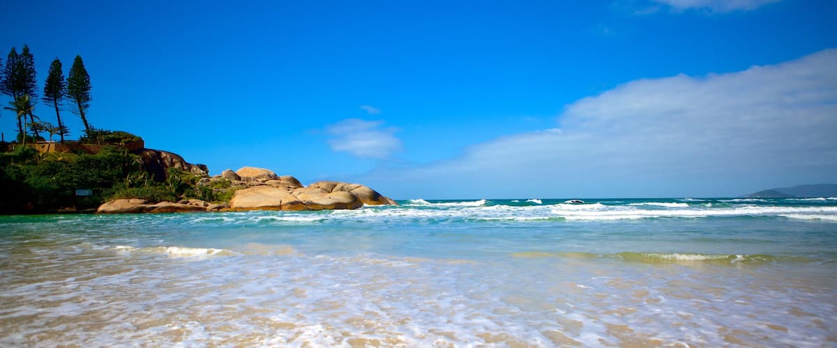 Joaquina Beach featuring a beach