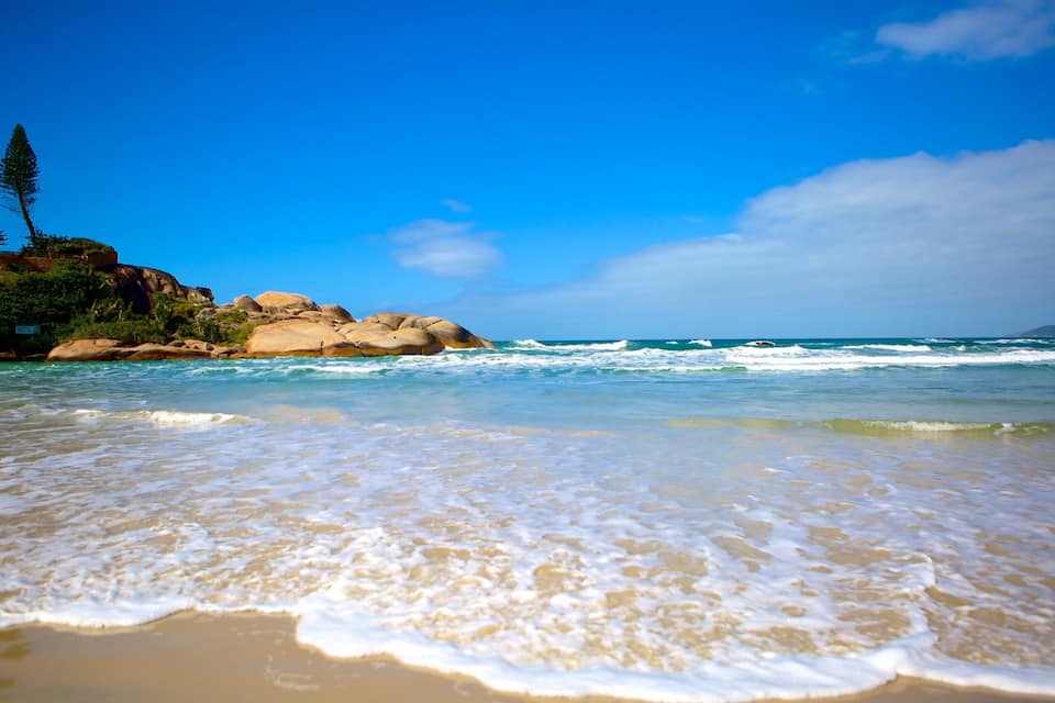 A beach with waves, clear blue sky, and rocky outcrops with trees.