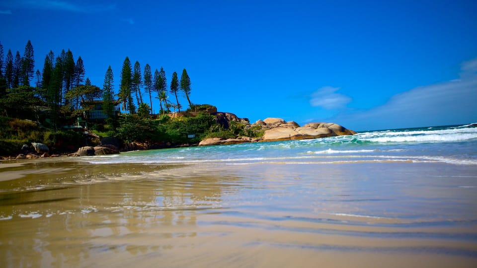 Joaquina Beach which includes a beach