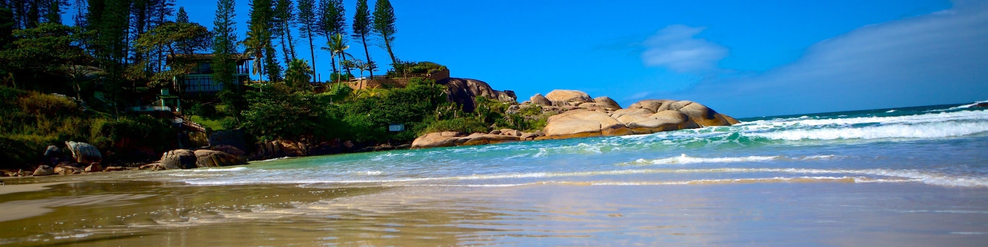 Praia da Joaquina mostrando uma praia