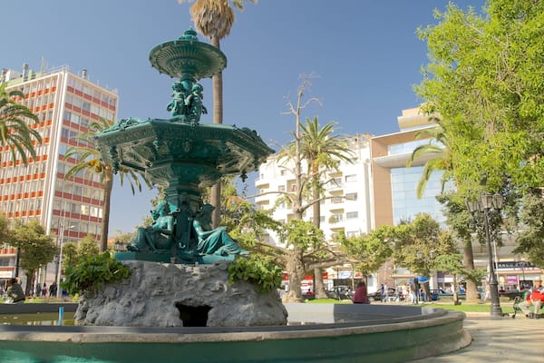 Plaza Victoria featuring a city and a fountain