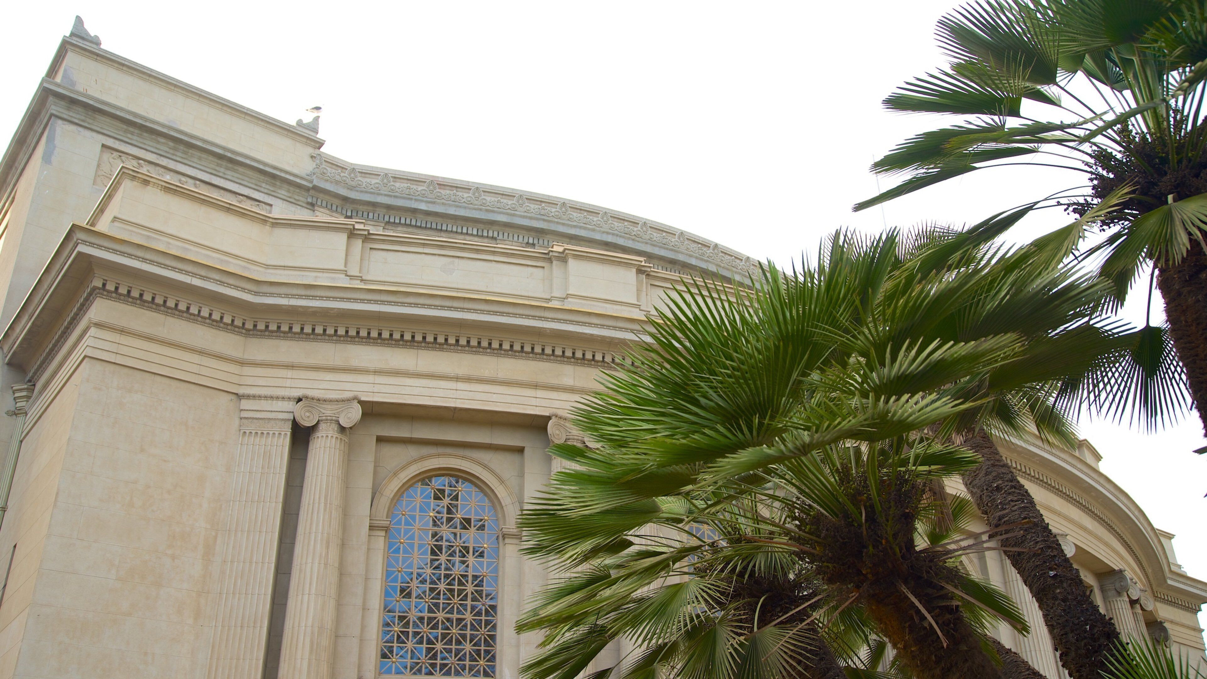 Teatro Municipal showing theatre scenes