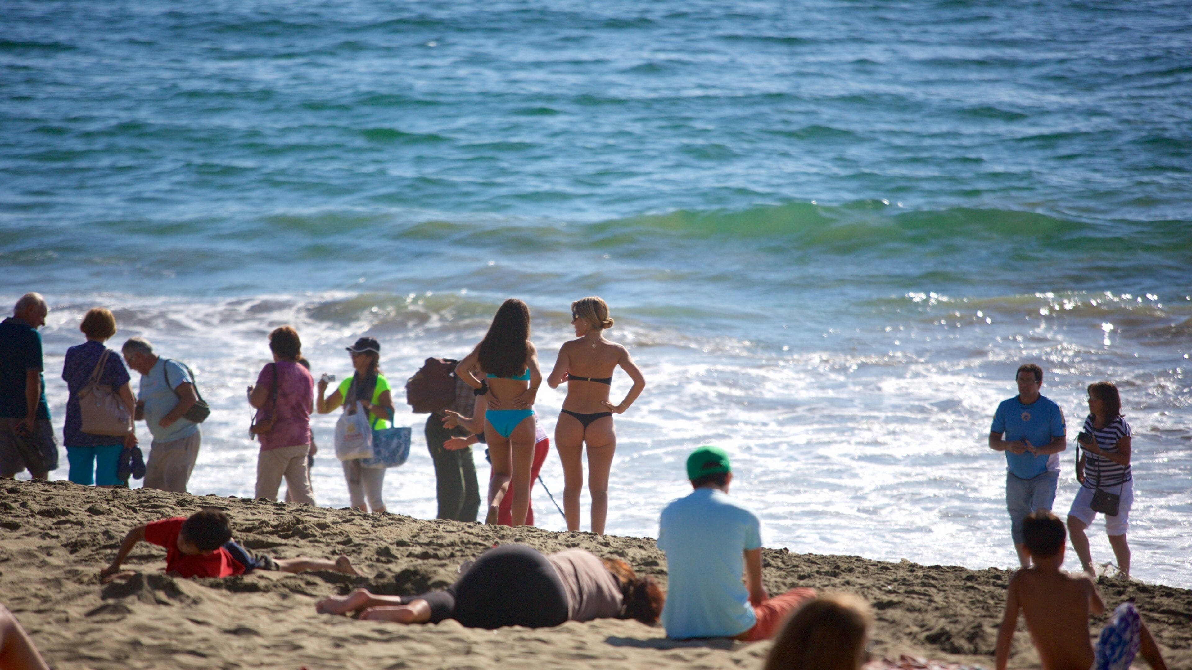 Acapulco Beach showing flowers