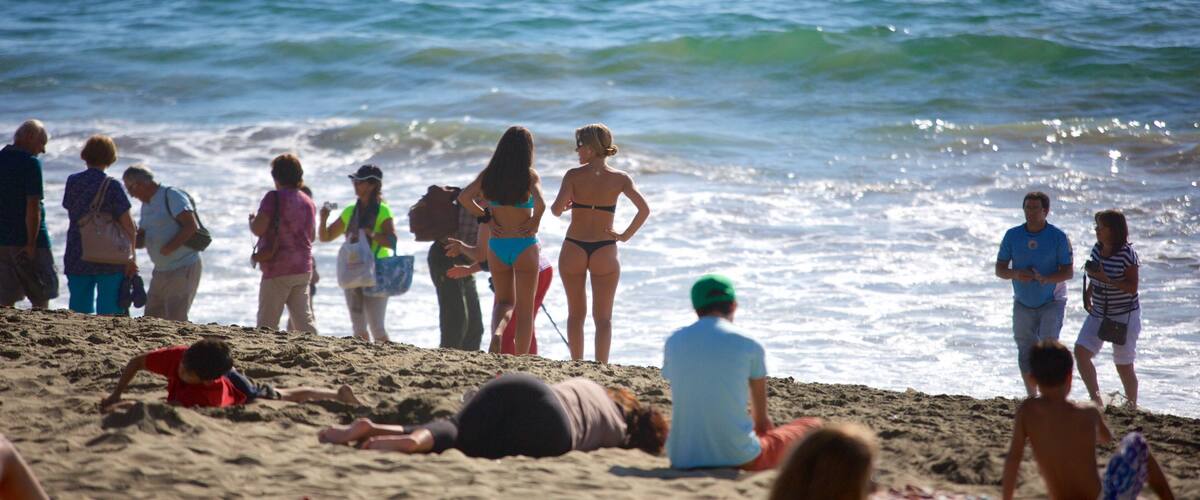 Plage Acapulco qui includes fleurs