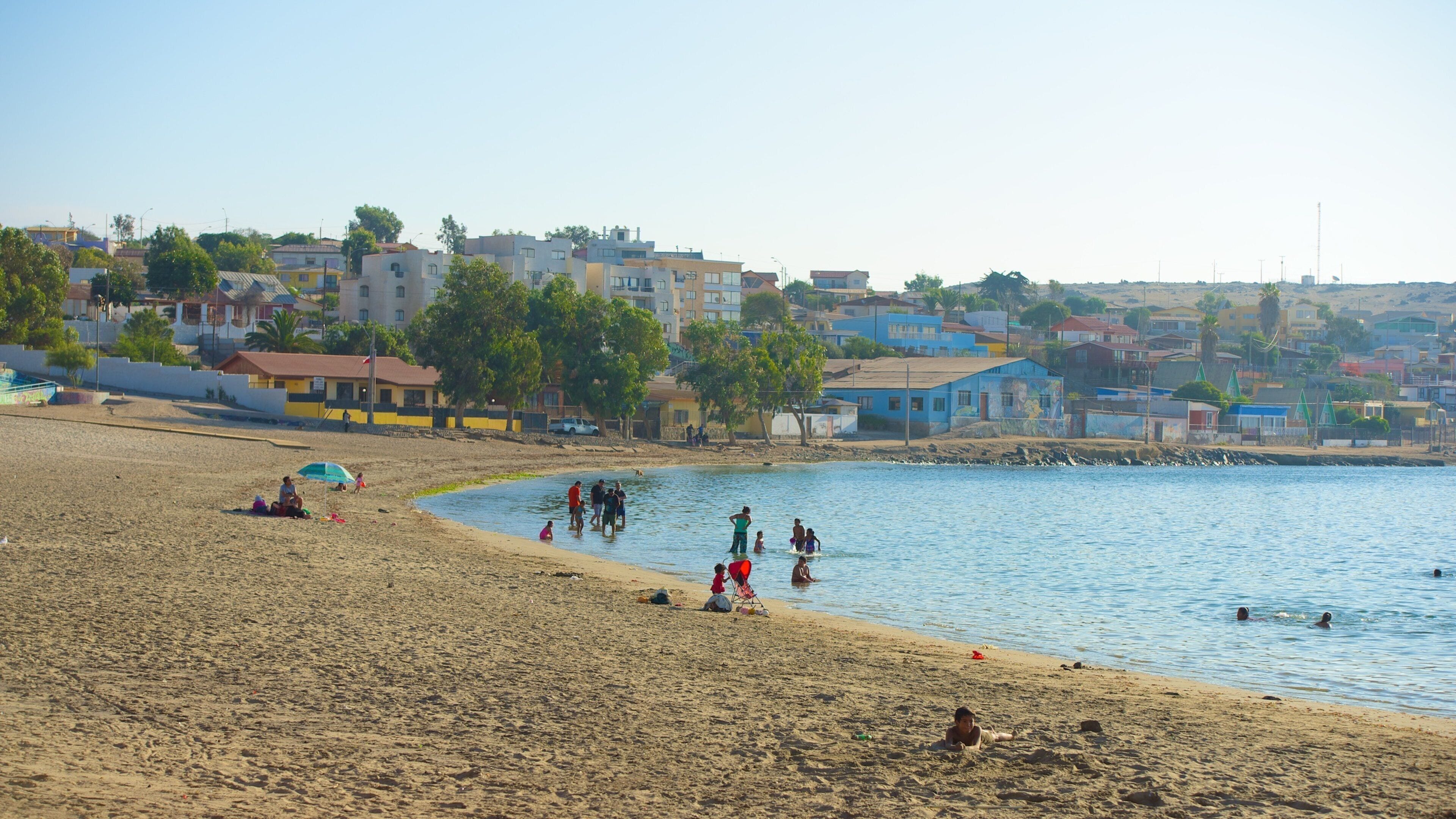 Playa Caldera mostrando una playa y una ciudad costera
