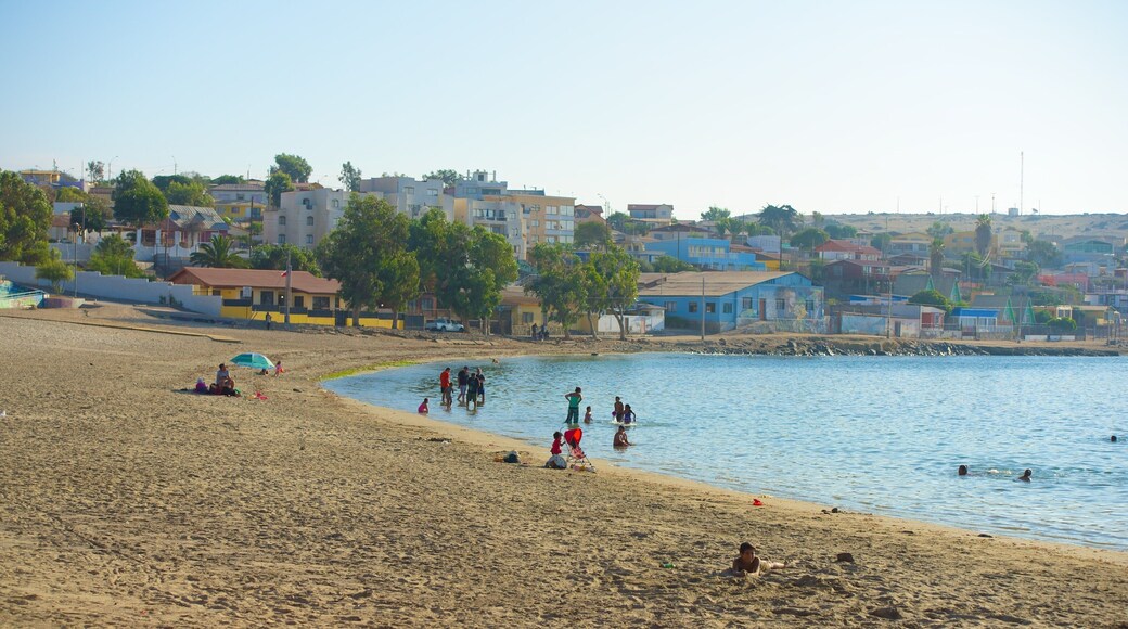 Playa Caldera mostrando una playa y una ciudad costera