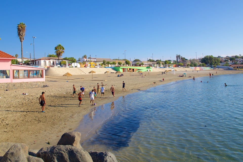 A beach with people swimming and walking along the shore, palm trees, and buildings in the background.