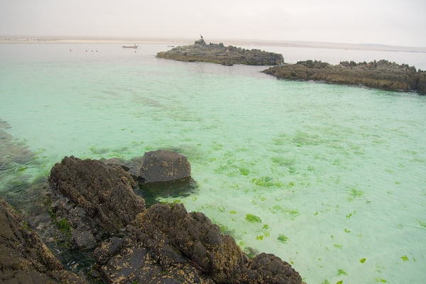 Bahia Inglesa Beach which includes general coastal views