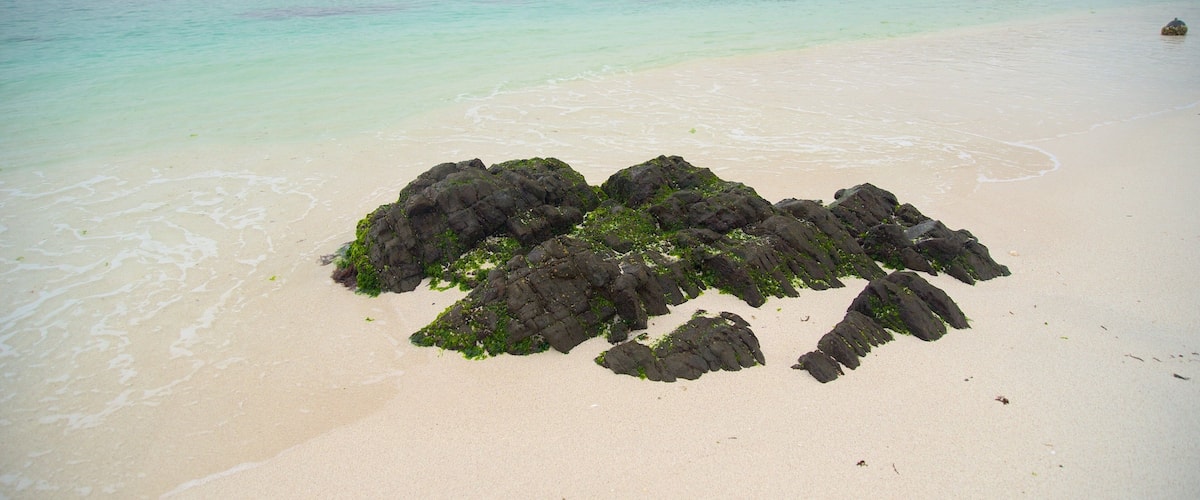 Playa Bahía Inglesa que incluye una playa
