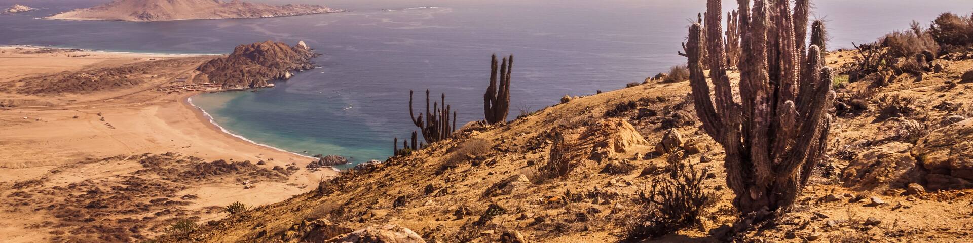 Coast of Pan de Azucar National Park in Chile. Atacama desert coast and cactus