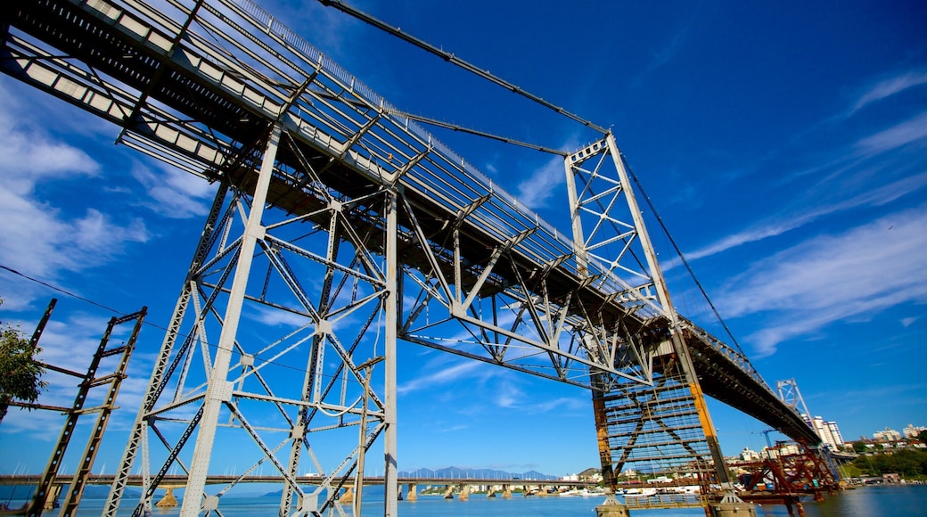 Hercilio Luz-broen som inkluderer bro