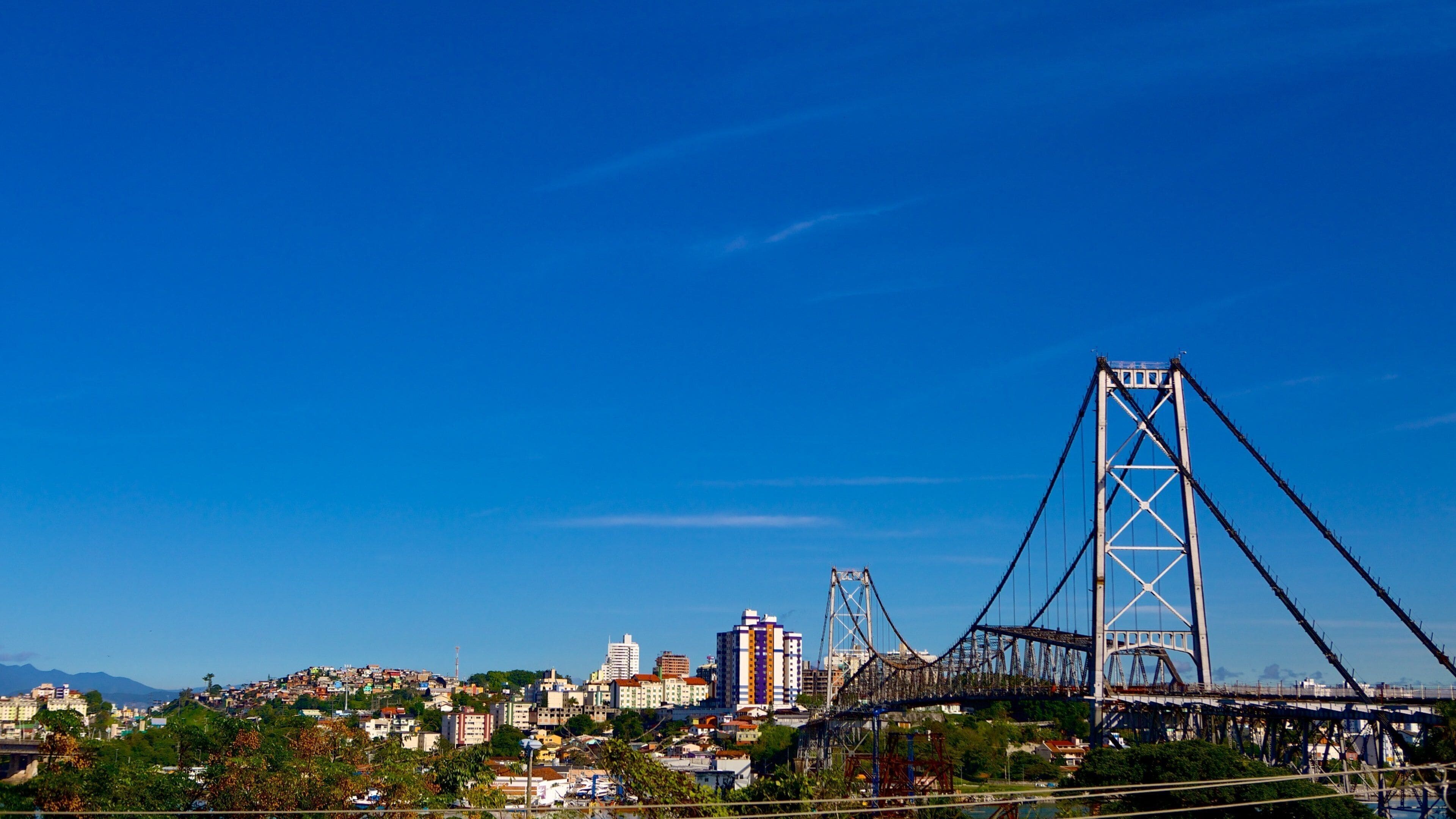 Hercilio Luz Bridge showing a bridge and a city