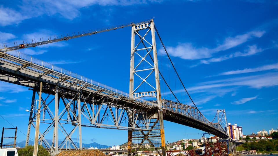 Hercilio Luz Bridge featuring a bridge