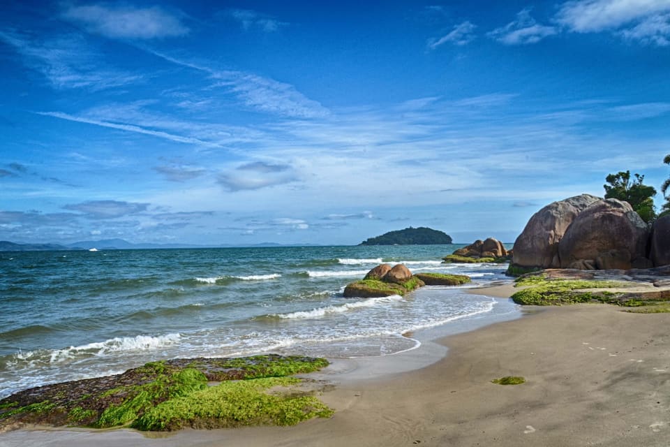 A beach with waves, rocks, and green algae.