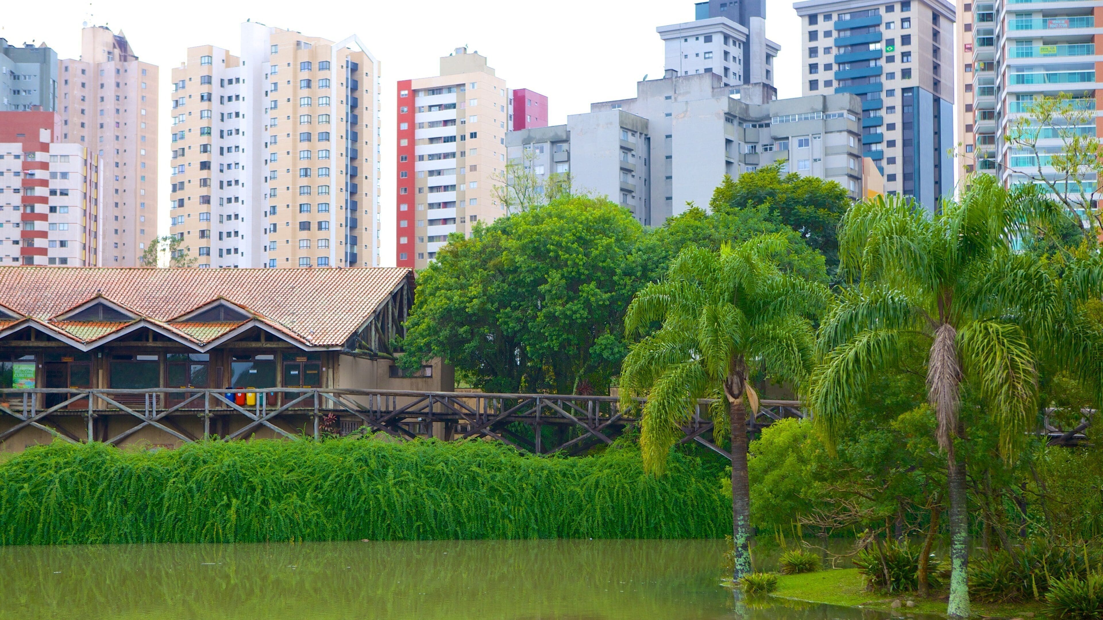 Botanical Garden of Curitiba showing a lake or waterhole and a city