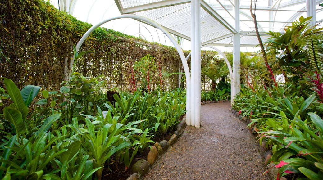 Curitibas botaniska trädgård presenterar en trädgård och interiörer