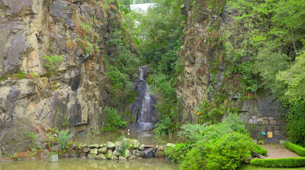 Teatro Ópera de Arame que incluye un río o arroyo