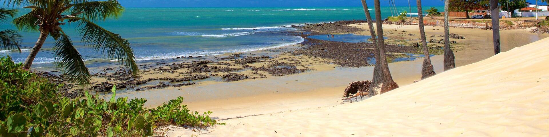 Genipabu Beach フィーチャー 海岸線の眺め, 常夏の風景 と ビーチ