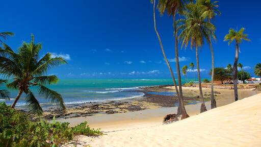 Genipabu Beach montrant vues littorales, plage de sable et scĂšnes tropicales