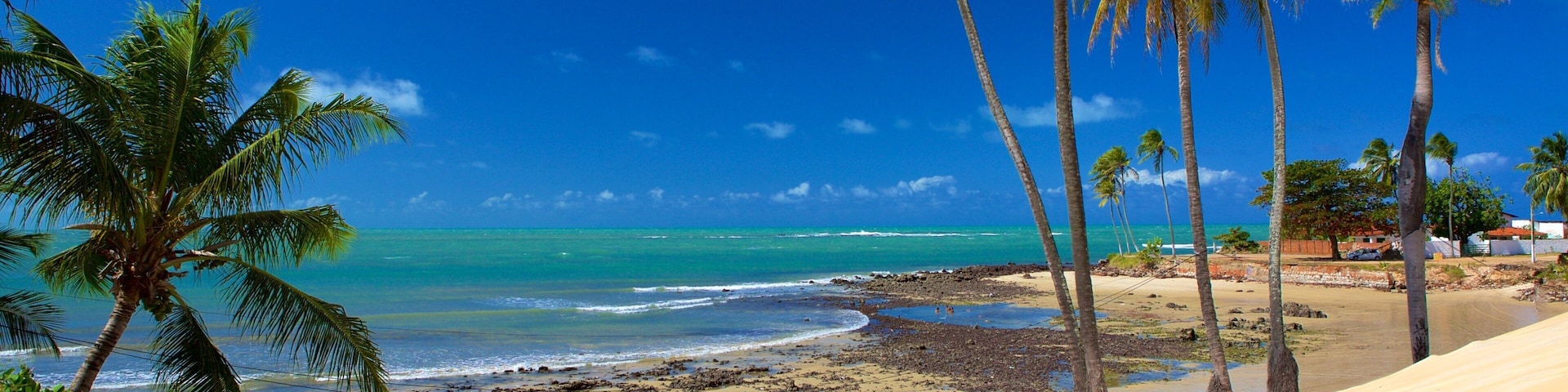 Genipabu Beach showing a sandy beach, general coastal views and tropical scenes