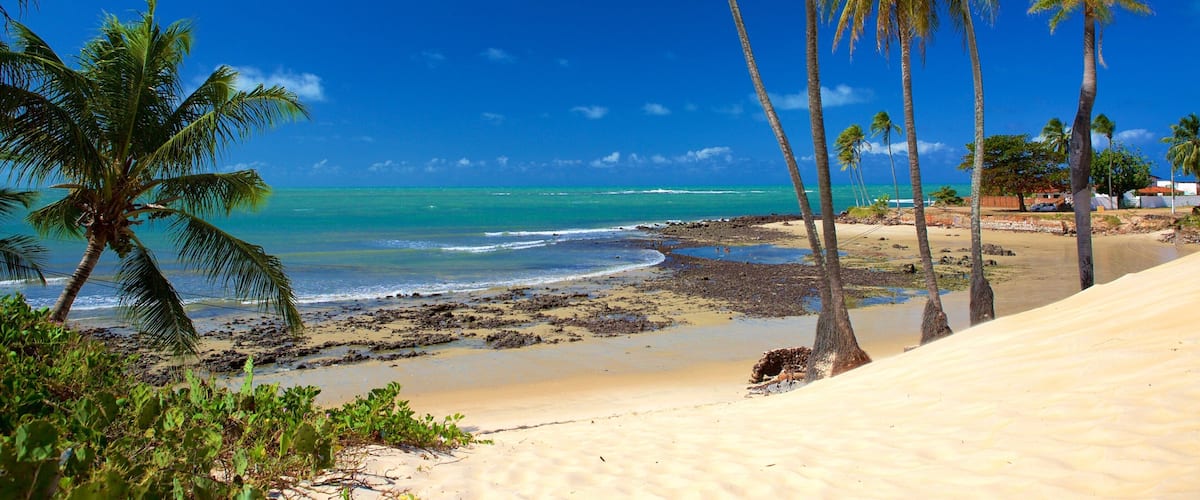 A beach with palm trees, clear blue water, and sandy dunes.
