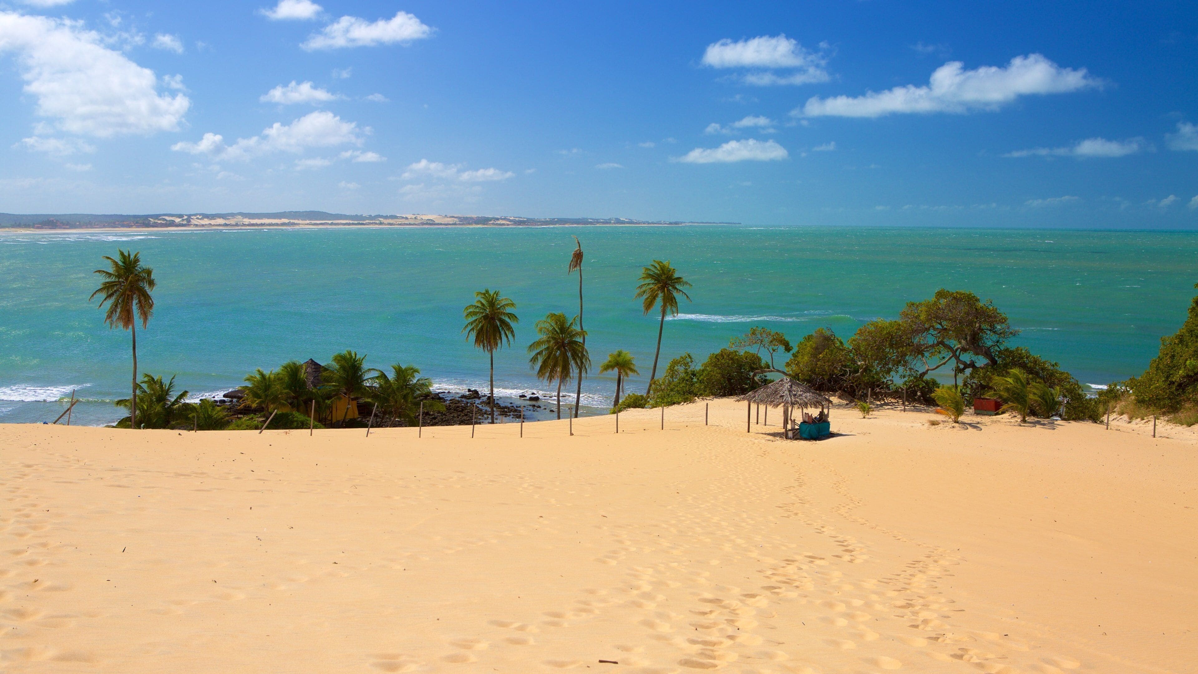 Genipabu Beach mettant en vedette scènes tropicales, plage de sable et vues littorales