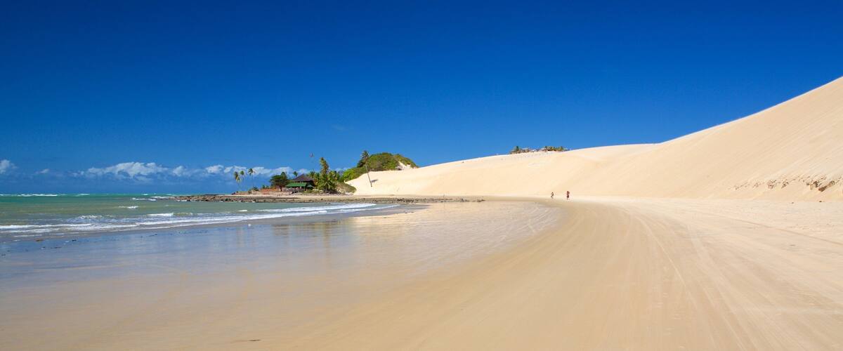 Genipabu Beach showing general coastal views and a sandy beach