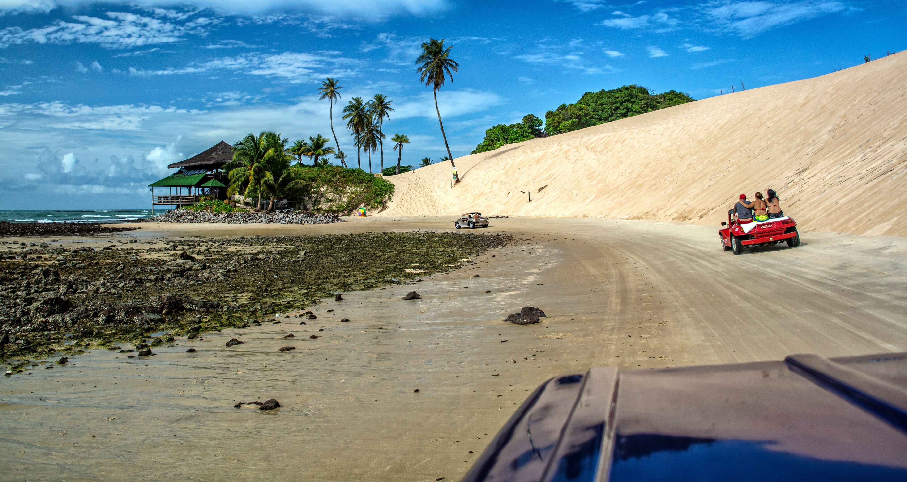 A sandy beach with palm trees, a dune, and a vehicle on the road.