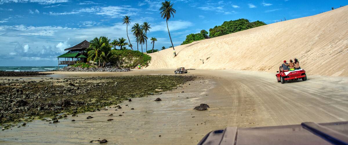 A sandy beach with palm trees, a dune, and a vehicle on the road.