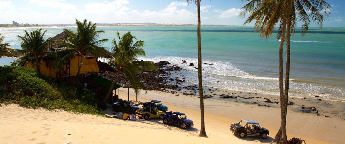Playa de Genipabu mostrando vistas generales de la costa, escenas tropicales y una playa de arena