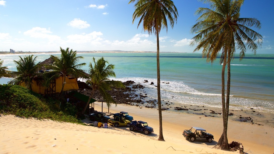 Playa de Genipabu mostrando vistas generales de la costa, escenas tropicales y una playa de arena
