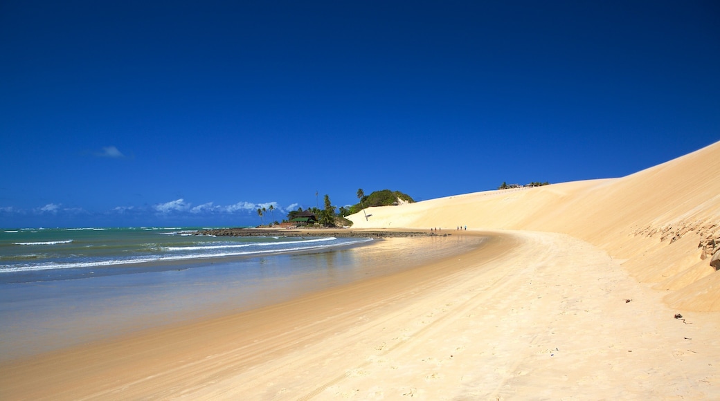 Playa de Genipabu ofreciendo vistas de una costa y una playa